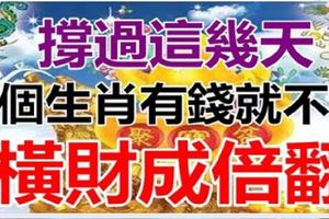 誰也拿不走！有錢就不愁，6生肖撐過這幾天，橫財成倍翻！