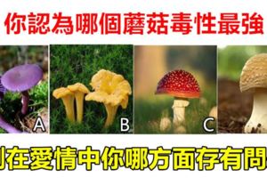 心理測試：你認為哪個蘑菇毒性最強，測在愛情中你哪方面存有問題