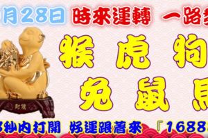 10月28日時來運轉一路發，猴虎狗兔鼠馬，88秒內打開，好運跟著來『16888』