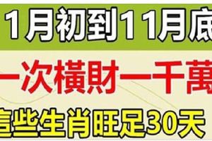 一次橫財一千萬！這些生肖11月初到11月底，橫財不斷！旺足30天