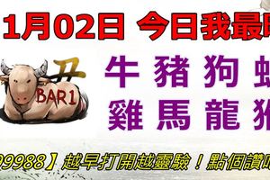 11月02日，今日我最旺！牛豬狗蛇雞馬龍猴！【99988】越早打開越靈驗！點個贊吧！