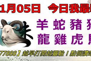 11月05日，今日我最旺！羊蛇豬猴龍雞虎馬！【77888】越早打開越靈驗！點個讚吧！