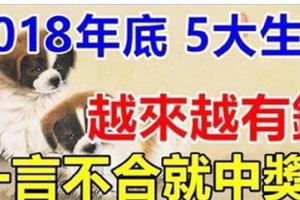 年底前這5大生肖財氣沖天