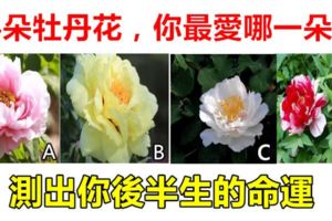 心理學：4朵牡丹花，你最愛哪一朵？測出你後半生的命運