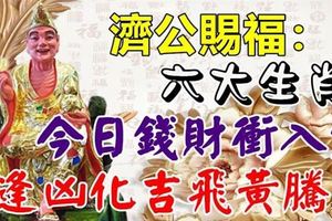 濟公賜福：今日錢財沖入袋，六大生肖逢凶化吉，飛黃騰達！