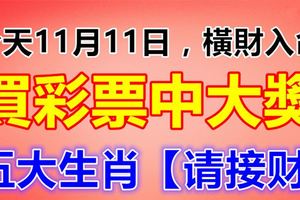 今天11月11日，橫財入命，買彩票可以中大獎的生肖，五大生肖【請接財】