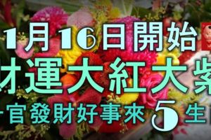 11月16日開始，財運大紅大紫，喜氣洋洋，陞官發財好事來的5生肖！