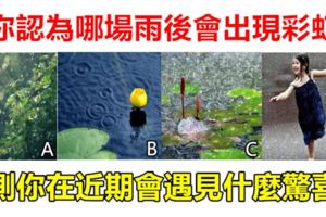 心理學：你認為哪場雨後會出現彩虹，測你在近期會遇見什麼驚喜