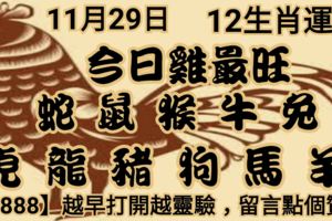 2018年11月29日，星期四農歷十月廿二（戊戌年癸亥月乙丑日）