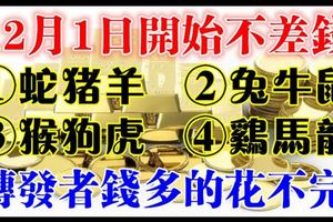 12月1日開始不差錢，發財好時機，旺到不能再旺，錢多的花不完！