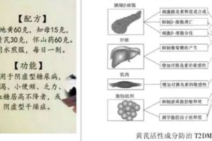 它是「補藥之長」！補氣生血，強心降壓，調控血糖，功效賽人參