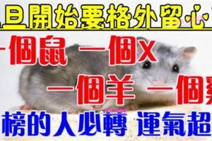 元旦開始要格外留心了，一個鼠，一個X，一個羊，一個雞~榜上有名運氣超旺