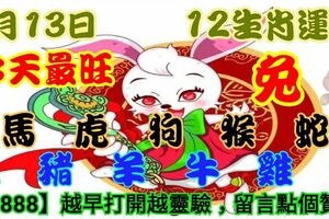 2019年1月13日，星期日農歷臘月初八（戊戌年乙丑月庚戌日）