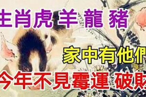 生肖虎羊龍豬，家中有他們，今年不見黴運破財