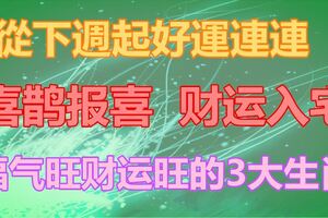 從下週起好運連連，喜鵲報喜，財運入宅，福氣旺財運旺的3大生肖