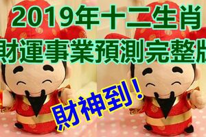 財神到！2019年十二生肖財運事業預測完整版都在這裡了