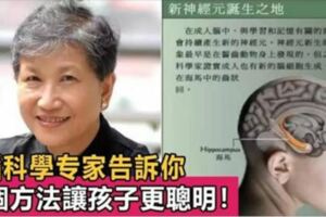 腦科學家洪蘭教授為你揭秘：發展孩子大腦最好的3個方法，讓孩子更聰明