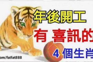 年後開工有喜訊的4個生肖，正月裡大有前途，大財小財都不少