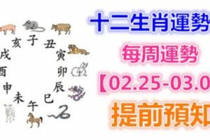 十二生肖運勢：每周運勢【02.25-03.03】提前預知！