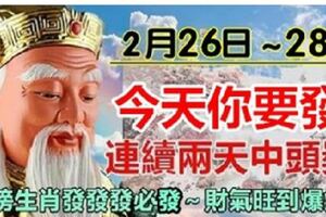 2月26日～28日，連續三天中獎的生肖