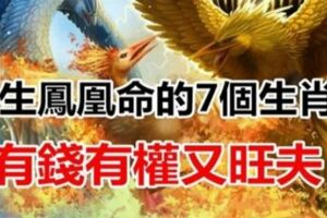 天生「鳳凰命」的7大生肖女！