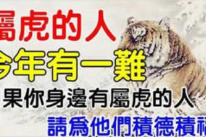 3月下旬，這些生肖帶旺財運