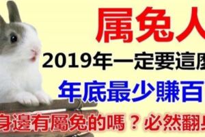 屬兔人：2019年一定要這麼做，年底最少賺百萬，誰家有屬兔的，刻不容緩，趕緊通知他