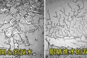 9種透過顯微鏡拍下因各種情緒流下的眼淚結晶