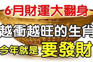 4大生肖越沖越旺，今年就是財運好