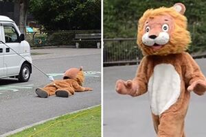 真工讀生！動物園「超ㄎㄧㄤ演習」　布偶獅子下一秒被抬走超好笑