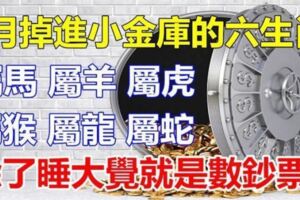 九月三喜進門六生肖：一喜運勢如虹，二喜錢財大旺，三喜業績驚人