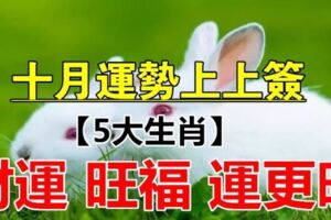 十月到好運來！5大生肖「喜迎人生上上籤」事業紅紅火火，生活美滿幸福