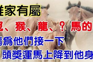 你家有屬兔猴龍馬的人嗎？最近會有頭獎運。