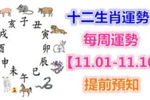 十二生肖運勢：每周運勢【11.01-11.10】提前預知！