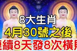 4月30號之後，連續8天發8次橫財的8大生肖