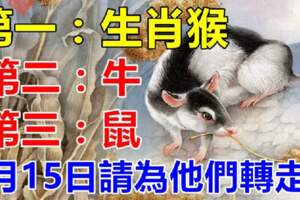 屬猴，牛，鼠的人，5月15日請為他們轉走