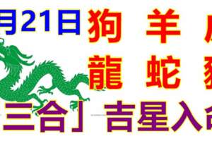 5月21日生肖運勢_狗、羊、虎大吉