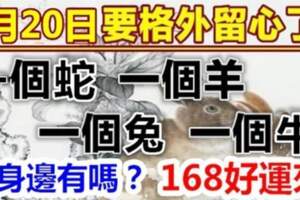 8月20日要格外留心了，一個蛇，一個羊，一個兔，一個牛好運來