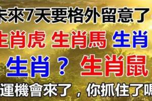 未來七天要格外留意了，這些生肖轉運機會來了