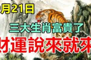 9月21日三大生肖富貴了，財運說來就來