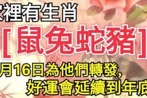 （鼠兔蛇豬）10月16日為他們轉發，好運會延續到年底