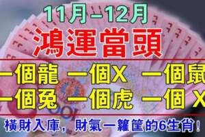 11月-12月鴻運當頭，橫財入庫的生肖