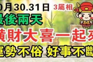 10月底最後兩天運勢不俗，好事不斷，橫財大喜一起來的三屬相