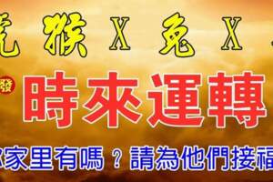 （虎猴X兔X羊）時來運轉，請為他們接福