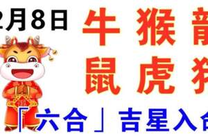 12月8日生肖運勢_牛、猴、龍大吉