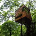 一座樹屋實現一個心願，20年建150多座，他是最懂人心的自然建築師