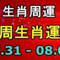 「生肖周運」本周生肖運勢2017.07.31-08.06