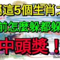 誰屬這5個生肖之一，新年前怎麼躲都躲不過中頭獎。你有上榜嗎？