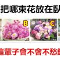 你想把哪束花放在臥室？測你這輩子會不會不愁錢花！