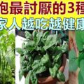 「腫瘤細胞」最怕的3種蔬菜，陽臺栽上幾盆，綠色健康又好吃！